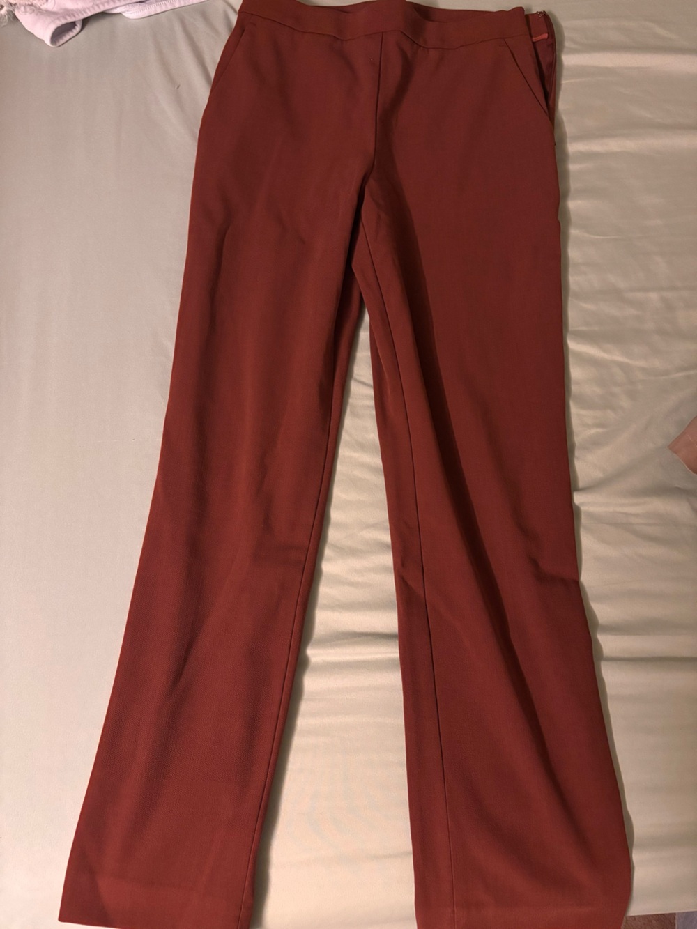 Ann Taylor Straight-Leg Ponte Pants in Burnt Orange